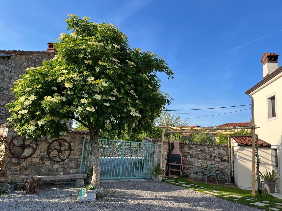 Apartma Ob Stari Murvi, Sezana Sežana Exterior foto